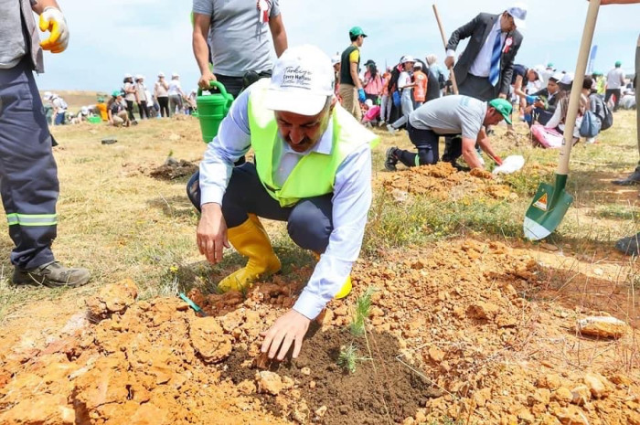 Gebze sıfır atık ormanı fidan dikim fotoğrafları, Gebze sıfır atık fotoğrafları, Gebze belediyesi Sıfır atık ormanı