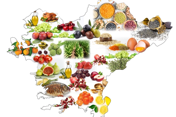 Ege B&ouml;lgesi tarım ihracatında liderliğini korudu