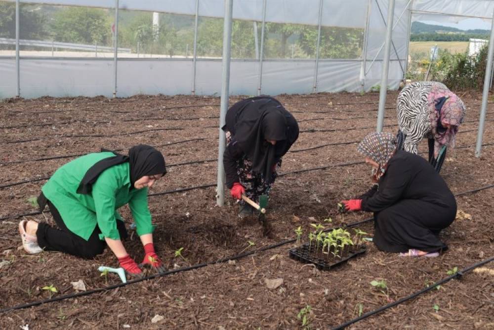 Kocaeli'den kadın girişimcilere tarımsal destek... Ata tohumları toprakla buluşturuldu