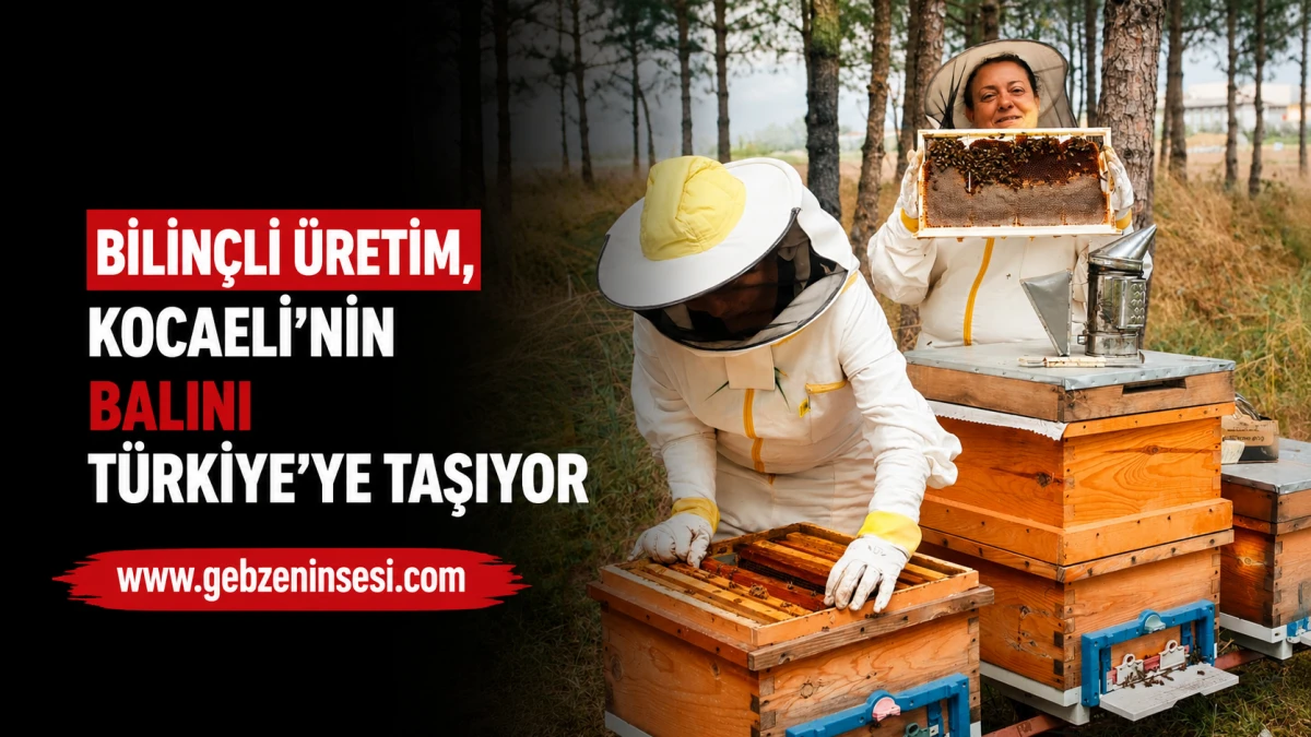 Bilin&ccedil;li &uuml;retim, Kocaeli&rsquo;nin balını T&uuml;rkiye&rsquo;ye taşıyor   