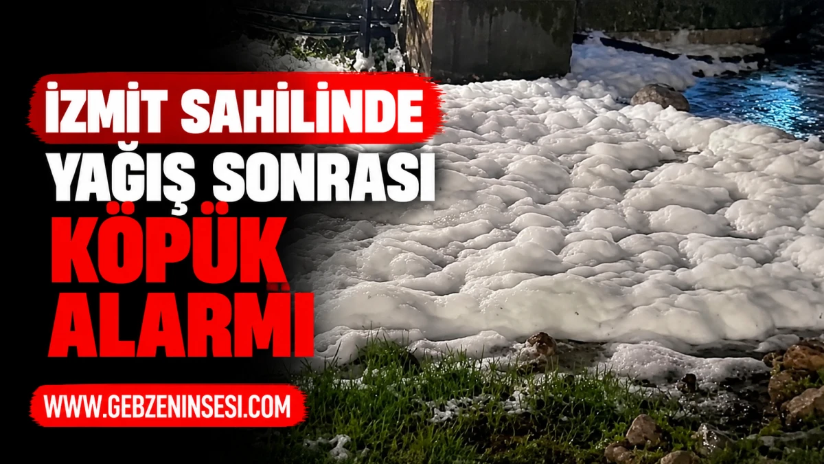 İzmit Sahilinde Yağış Sonrası K&ouml;p&uuml;k Alarmı