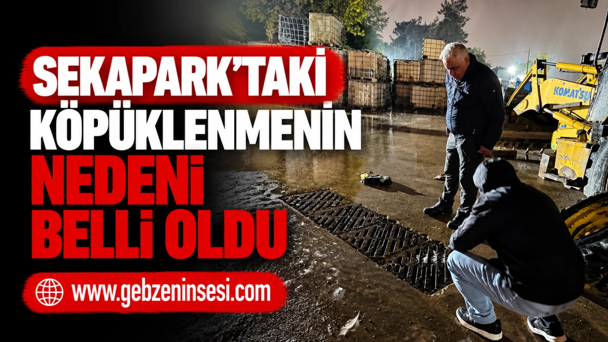 Sekapark&rsquo;taki K&ouml;p&uuml;klenmenin Nedeni Belli Oldu