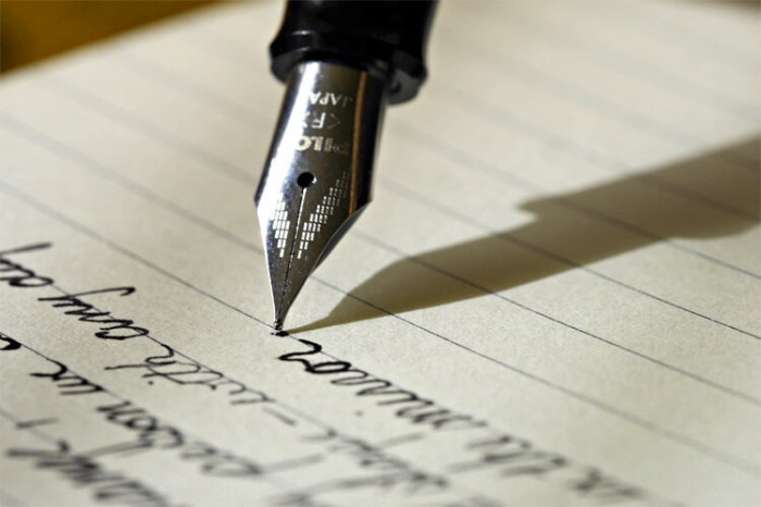 Yasemin Elif Özçelik